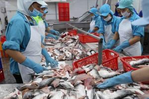 Xuất khẩu thủy sản: Nửa cuối năm sẽ có nhiều thuận lợi