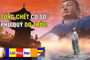 Phật dạy: 'Sống chết có số, phú quý do trời', vế sau ai biết được sống mới an yên