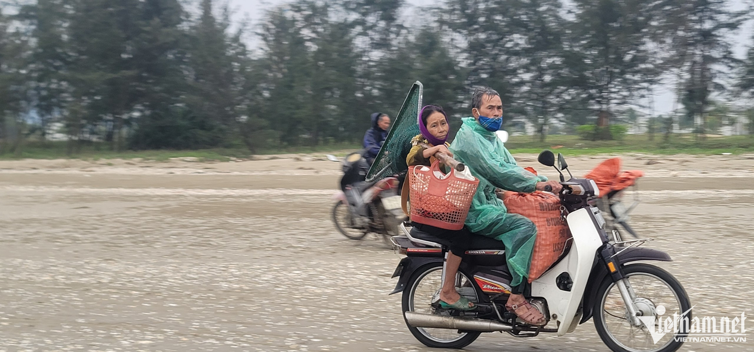 Sò lông nổi lên khi biển động, cả làng hò nhau đi vớt