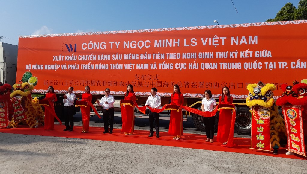 18 tấn sầu riêng đầu tiên từ Cần Thơ xuất chính ngạch đi Trung Quốc
