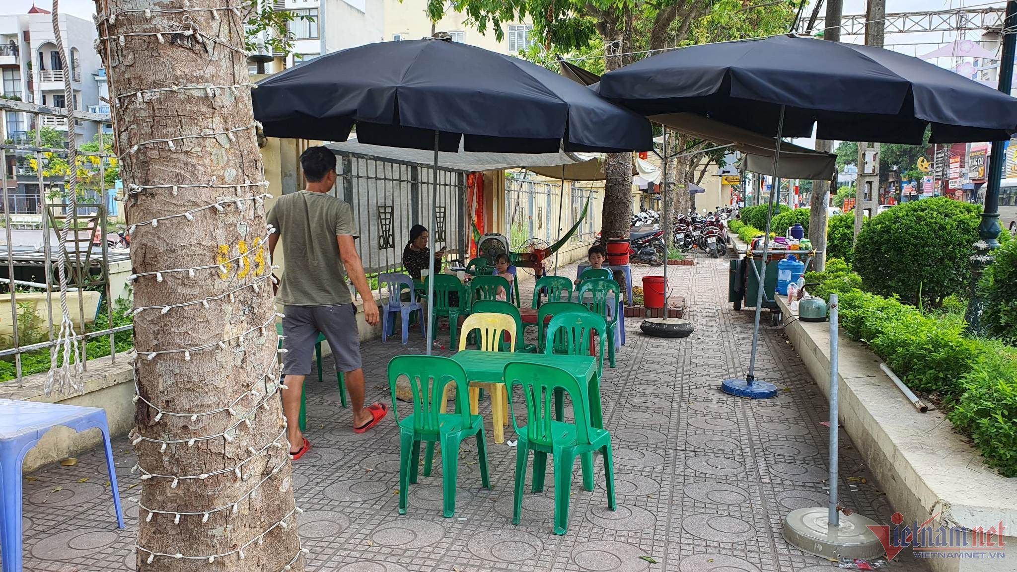 Hà Nội di chuyển hàng loạt cây xanh để mở rộng Quốc lộ 32