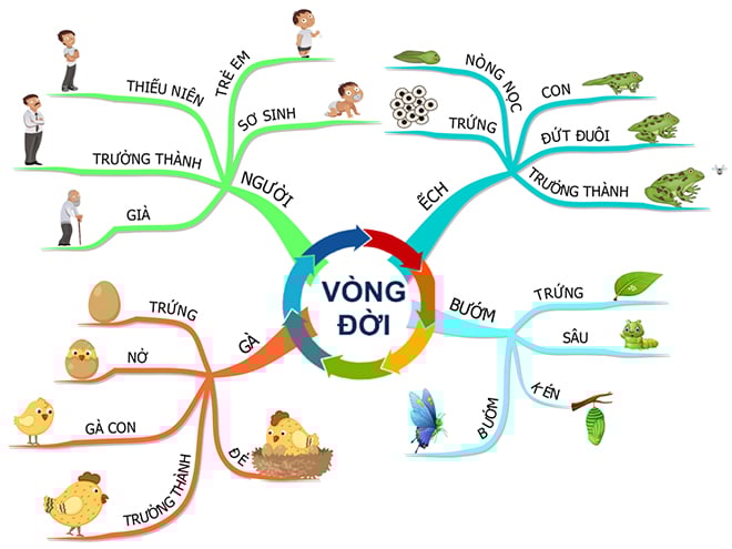 3 bí quyết “vàng” giúp con chinh phục mùa thi