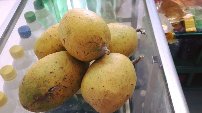 Thứ quả dại “thơm nức mũi” nhưng 90% người Việt không biết tên