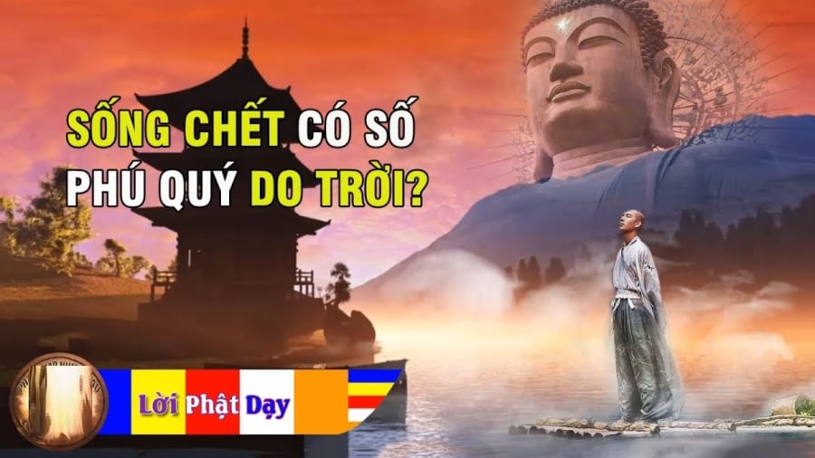 Phật dạy: 'Sống chết có số, phú quý do trời', vế sau ai biết được sống mới an yên